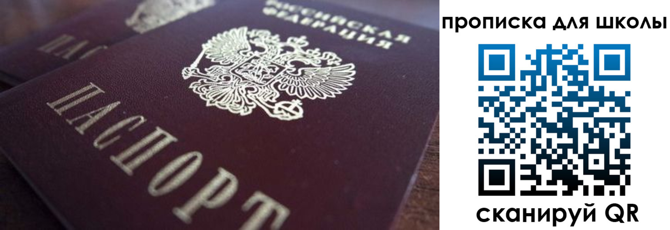 прописка поиск в Дубне